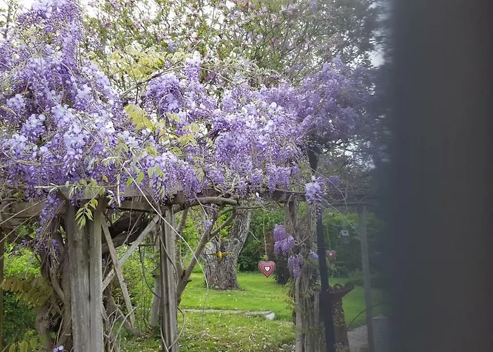 Stephanie App.maximilian شقة إيهرينهاوزين